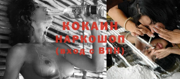 apvp Аша