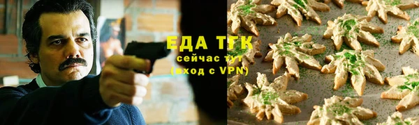 прущие грибы Вяземский